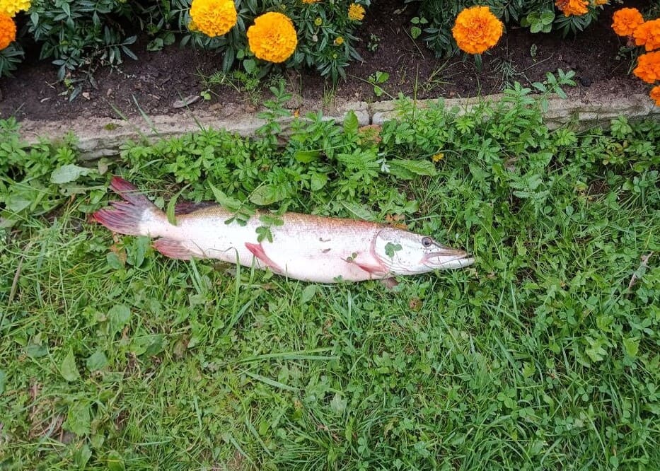 Офисы по адресу 